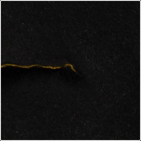 Black Reuss - Death (2026)