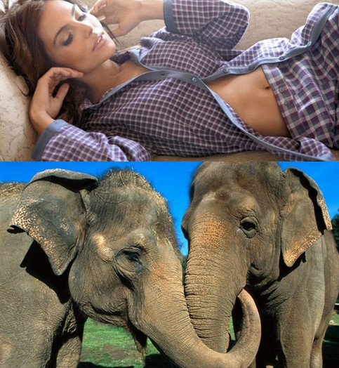 Mixturka - Wallpapers Collection 288