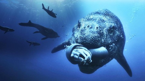 Die Welt der Saurier Siegeszug der Federn DOKU Preview