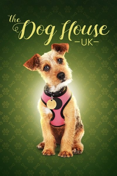 The Dog House S09E03 720p HEVC x265-MeGusta