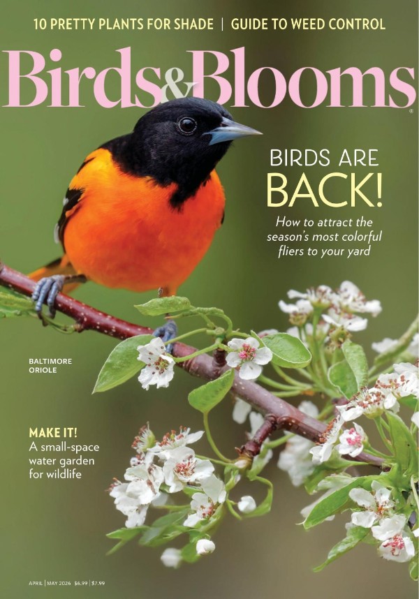 Birds & Blooms - April/May 2026