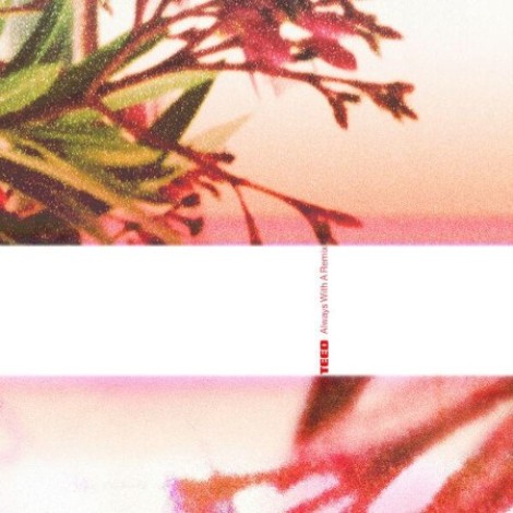 TEED - Always With A Remix (2026) flac