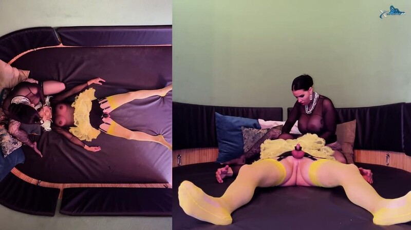 MissAlessaMilano - Nylonfüßen Spüren Und Facesitting [FullHD 1080P]  (MyDirtyHobby)