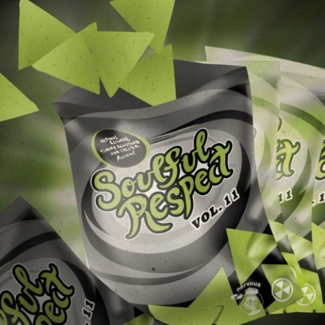 VA - Soulful Respect Vol 11 (2026) mp3