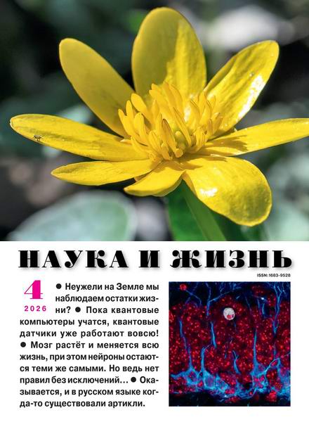 Наука и жизнь №4 (апрель 2026)