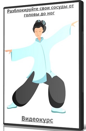 постер к Разблокируйте свои сосуды от головы до ног (2026) Видеокурс