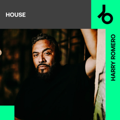 VA - Harry Romero Curates House (2018) mp3