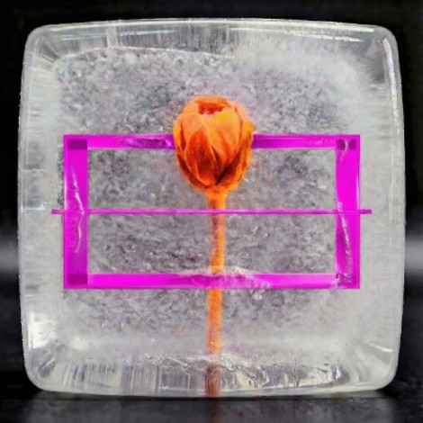 Liminal MX & Baqsy - YEAR 000.000.001 Vol. VII (Part III) (2026) mp3