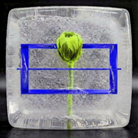 Unnayanaa - YEAR 000.000.001 Vol. VII (Part II) (2026) mp3