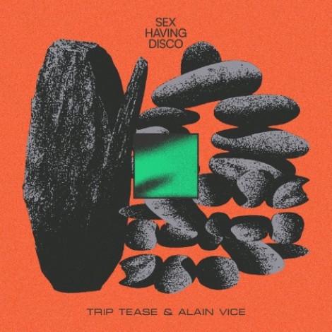 Trip Tease & Alain Vice feat. LuboÌ� - Sex Having Disco (2025) mp3