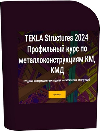 постер к [nip-school] Tekla Structures 2024. Профильный курс по металлоконструкциям КМ, КМД (2025) Видеокурс