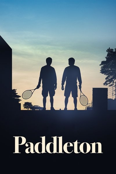 Paddleton (2019) 1080p NF WEB-DL DD 5 1 H 264-playWEB