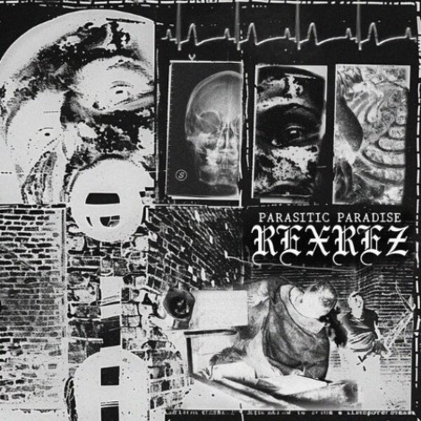 Rexrez - Parasitic Paradise (2026) flac