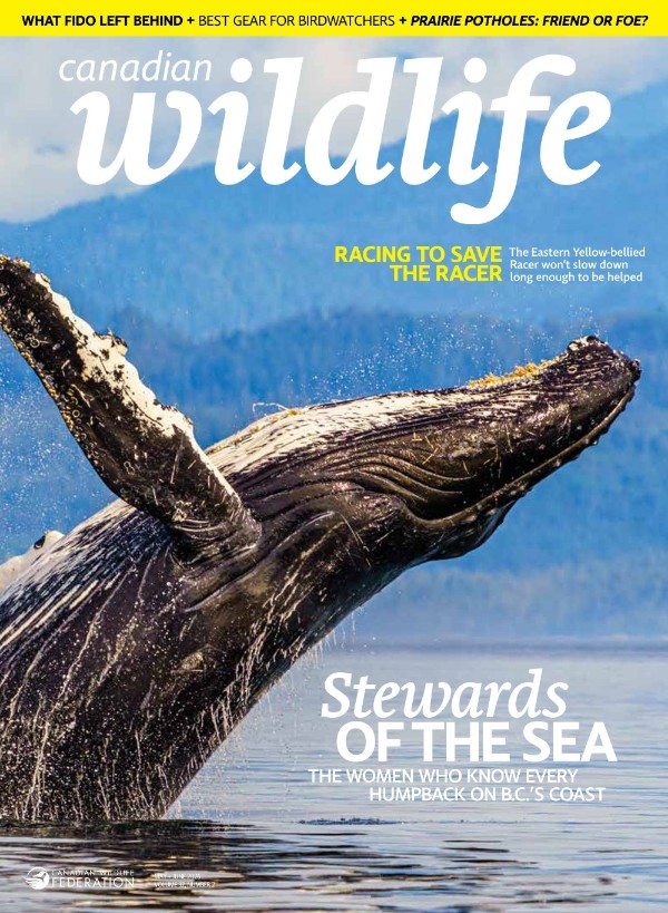 Canadian Wildlife - Vol 32 No 2, May/June 2026