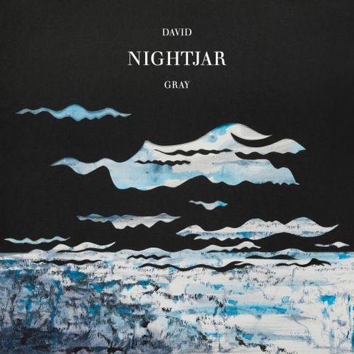David Gray - Nightjar (2026) (2026) FLAC