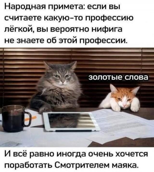 8ea2298cfc8ee15956b2fa0782ebea1b.jpg
