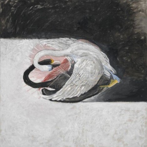 Aidan Ber - Songs of Wing & Weather (2026) mp3