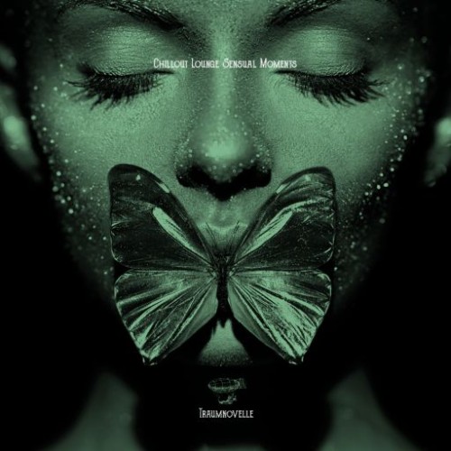 VA - Chillout Lounge Sensual Moments (2026) FLAC