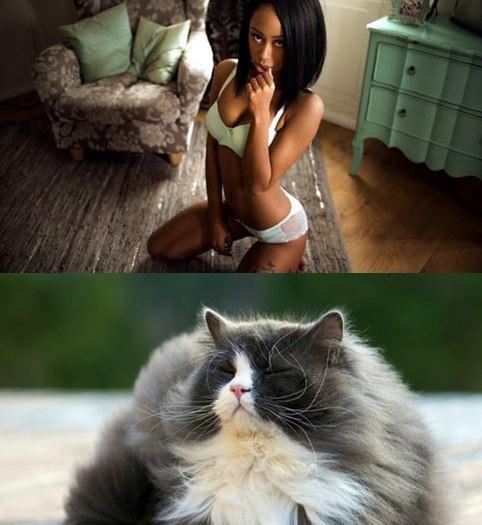 Best Mixture Wallpapers Collection 102