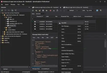 QueueExplorer Professional 5.0.78