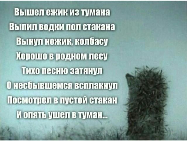 354f68c17abd3da7d1108acf944d9551.jpg