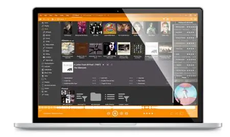 MediaMonkey Gold 2024.2.2.3218 RC1 Multilingual