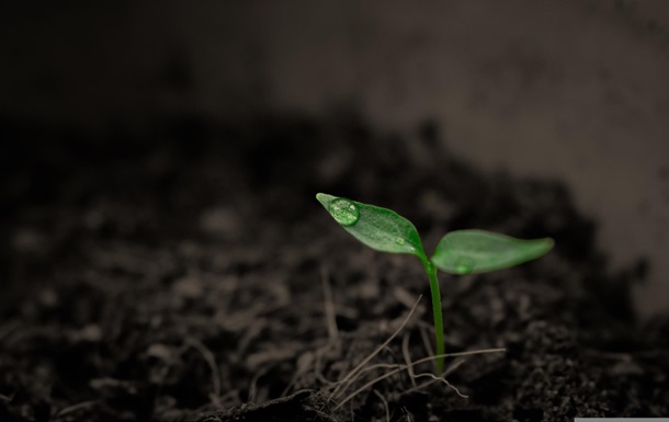 Суперкомпьютер NASA назвал приблизительную дату конца жизни на Земле