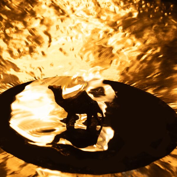 [TR24][OF] Brass Camel - Brass Camel - 2026...