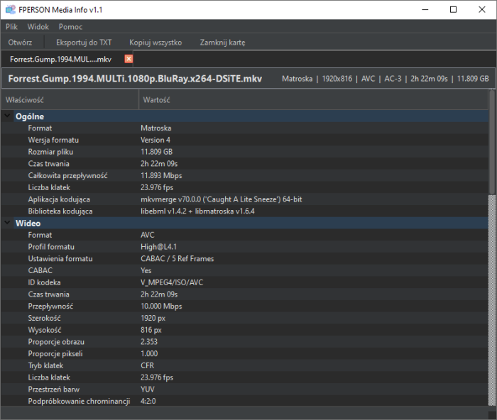 FPERSON Media Info v1.1 (x64) MULTi-PL + PORTABLE