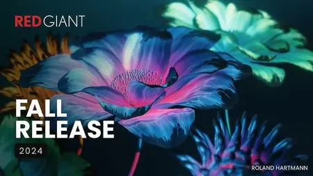 [Kép: 40f9c664ed9e1b5483c2c79259417102.webp]