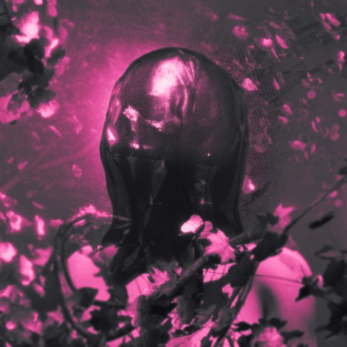 Pinknoise - Flesh and Bone [EP] (2026)