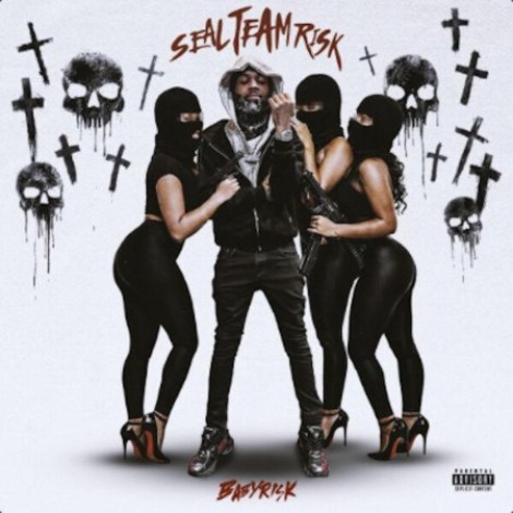 BabyRisk - Seal Team Risk (2026) mp3