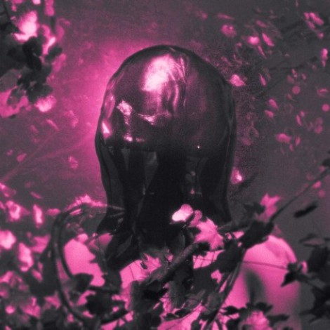 Pinknoise - FLESH AND BONE (2026) mp3