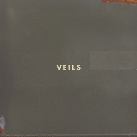 Vanessa Carlton - Veils (2026) flac