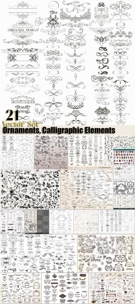 Vintage patterns, ornaments, calligraphic elements