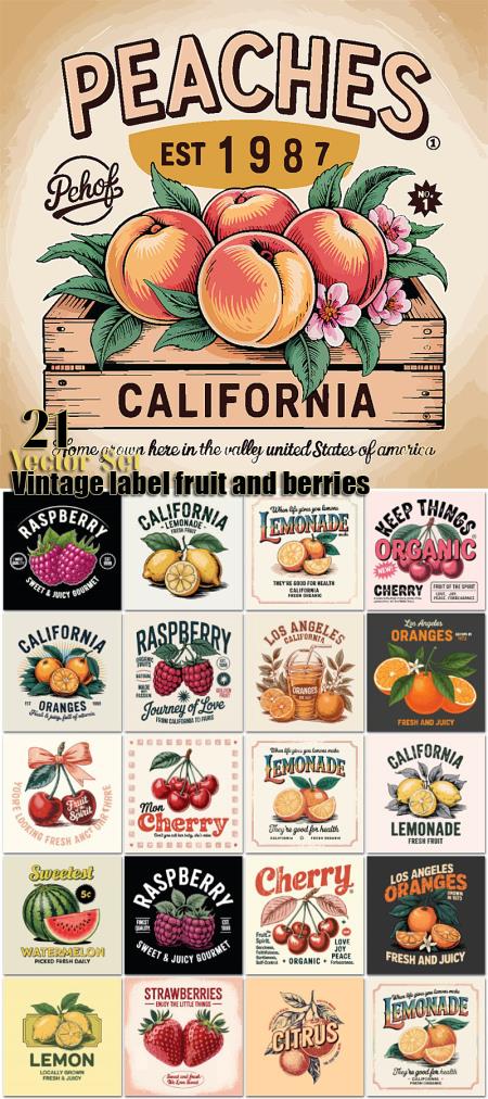 Vintage label fruit and berries 21 design vector illustration