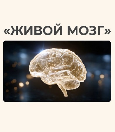 ��������� ������, ����� ������ - ����� ���� (2026)