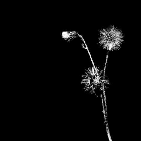 Jon Dasilva x Donald Waugh x Skyskrapa - Sun Brings Joy (2026) mp3