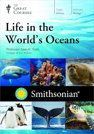 TTC Video - Life in The World's Oceans
