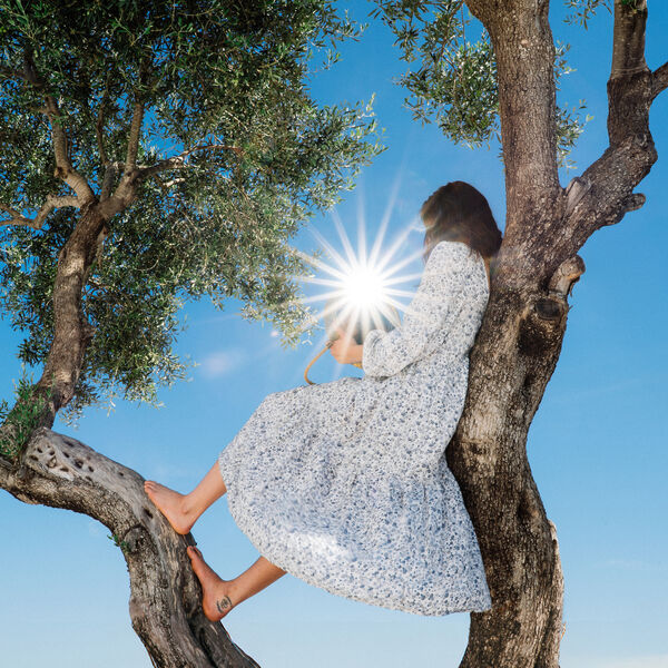 [Image: fdfac71c73b1f82108b4e892b5504482.jpg]