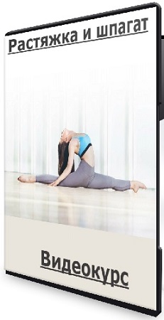 постер к Евгения Зайцева - Растяжка и шпагат (2026) Видеокурс