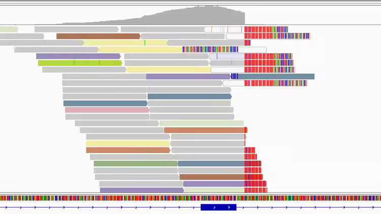 Reading structural variants in IGV (short– read NGS)