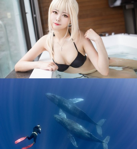 Best Wallpapers Mix Collection 73