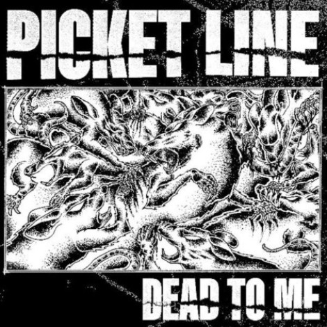 Picket Line - Dead To Me (2026) flac