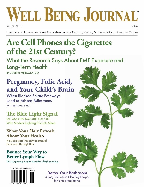 Well Being Journal - Vol. 35 No. 02, 2026