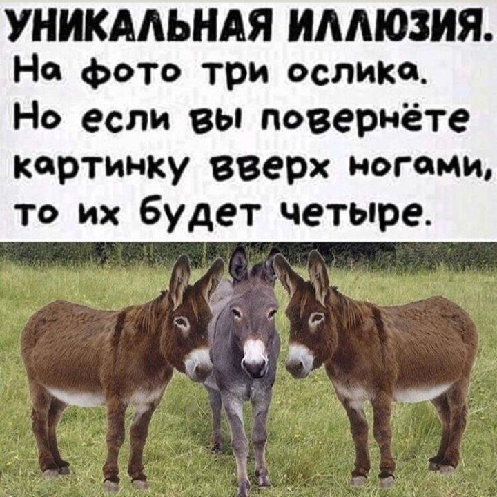 79846600fd893486aa0f559bdf5c60dd.jpg