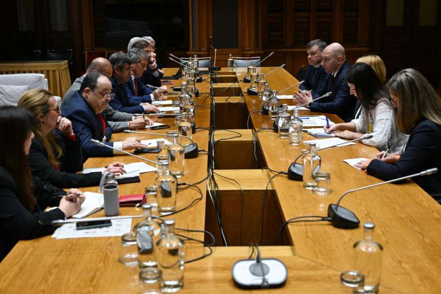 Розвиток двосторонньої торгівлі та євроінтеграція України: відбувся українсько-португальський міжпарламентський діалог