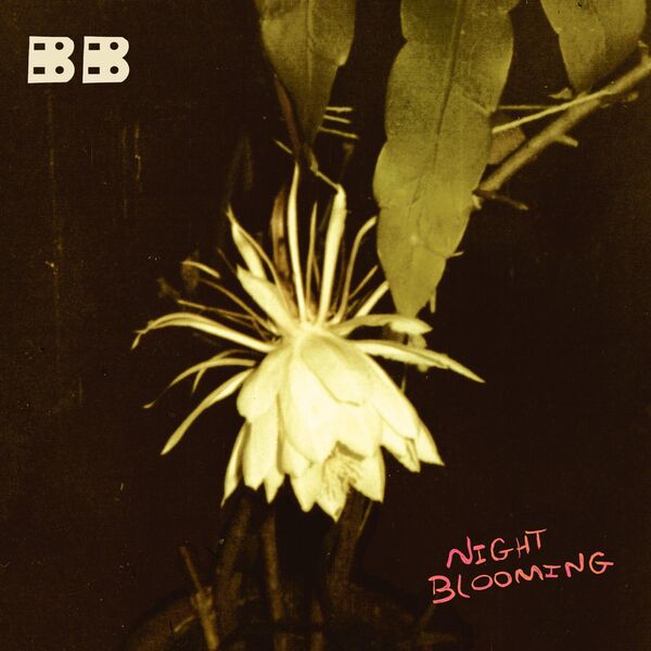 Birdie Busch – Night Blooming (2026)