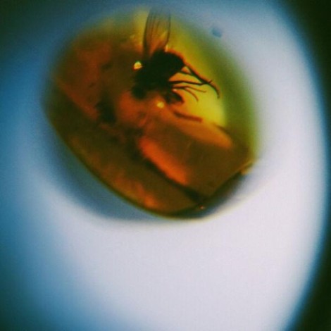 April + VISTA - Traditional Noise (2026) mp3