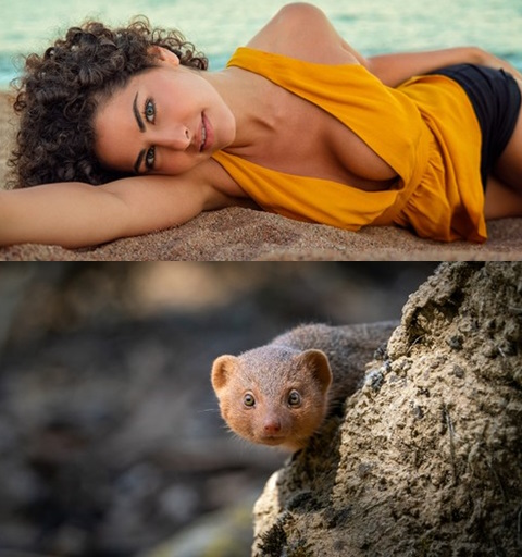 Mixturka - Wallpapers Collection 298